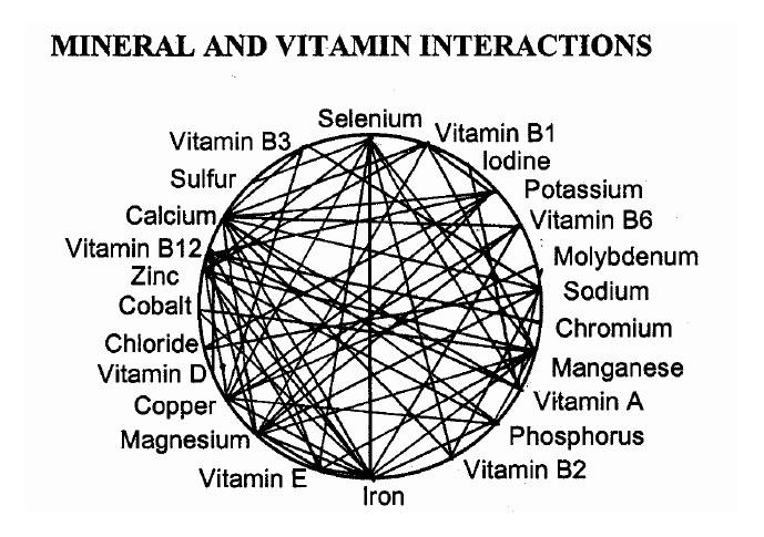 Les Vitamines Et Minéraux Synthétiques Sont Toxiques